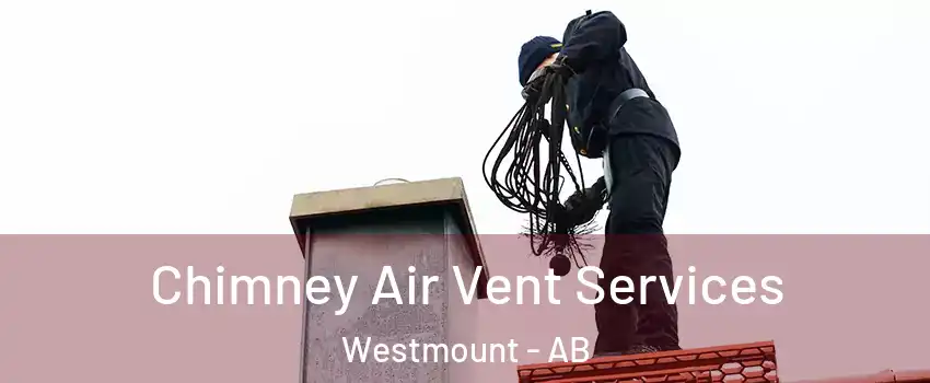  Chimney Air Vent Services Westmount - AB