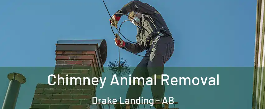 Chimney Animal Removal Drake Landing - AB