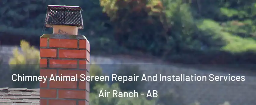  Chimney Animal Screen Repair And Installation Services Air Ranch - AB