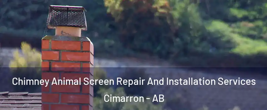  Chimney Animal Screen Repair And Installation Services Cimarron - AB