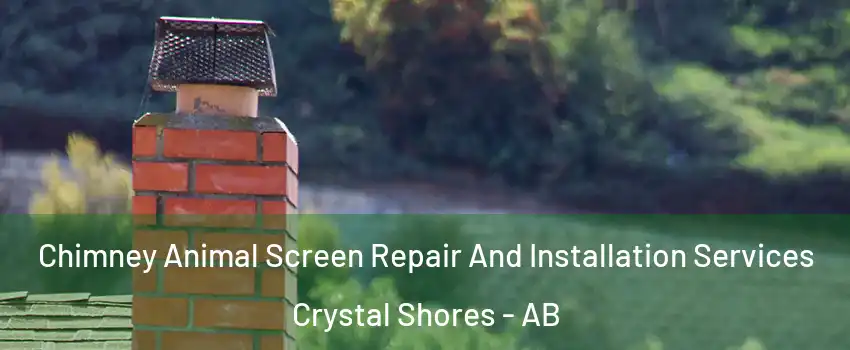  Chimney Animal Screen Repair And Installation Services Crystal Shores - AB