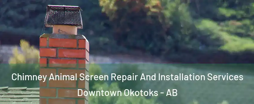  Chimney Animal Screen Repair And Installation Services Downtown Okotoks - AB