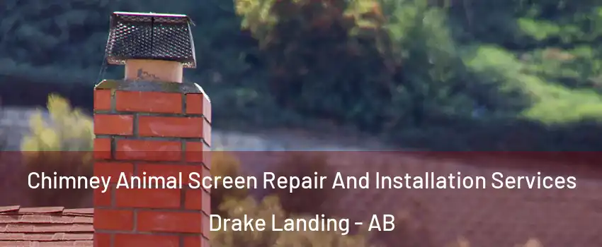  Chimney Animal Screen Repair And Installation Services Drake Landing - AB