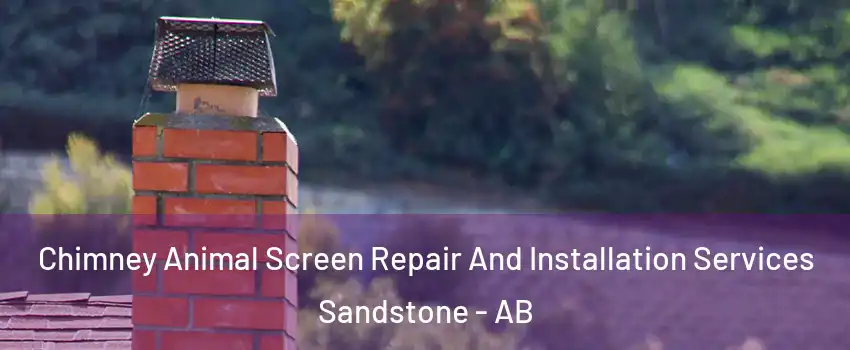  Chimney Animal Screen Repair And Installation Services Sandstone - AB