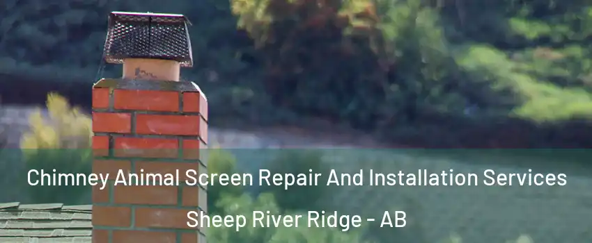  Chimney Animal Screen Repair And Installation Services Sheep River Ridge - AB