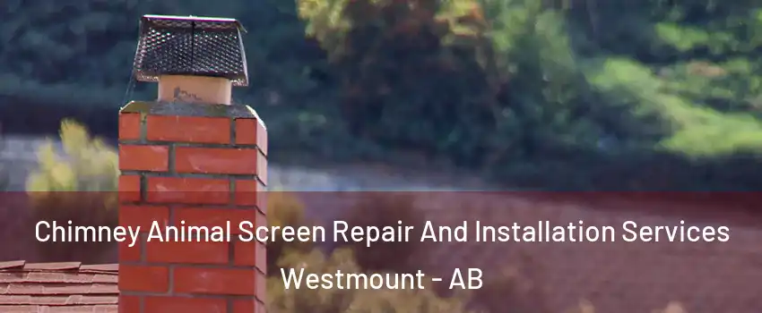  Chimney Animal Screen Repair And Installation Services Westmount - AB