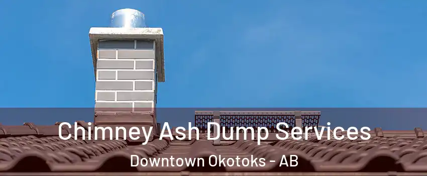  Chimney Ash Dump Services Downtown Okotoks - AB
