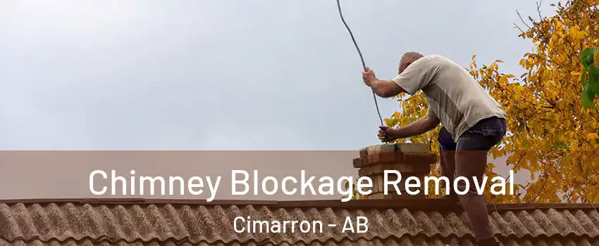  Chimney Blockage Removal Cimarron - AB