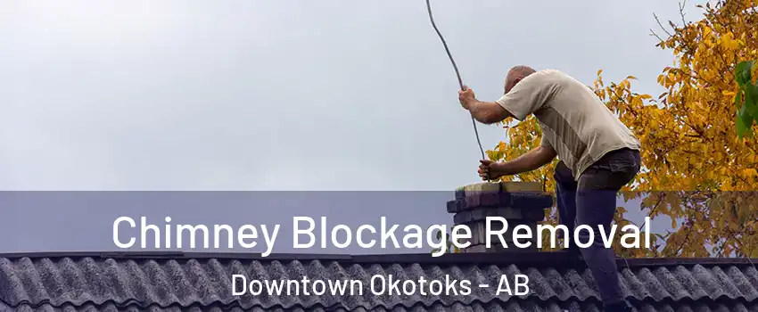  Chimney Blockage Removal Downtown Okotoks - AB