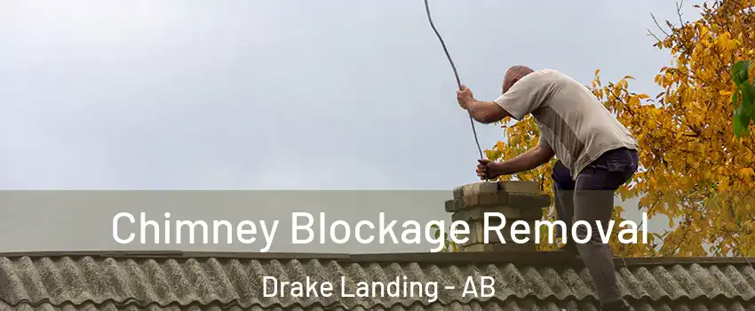  Chimney Blockage Removal Drake Landing - AB