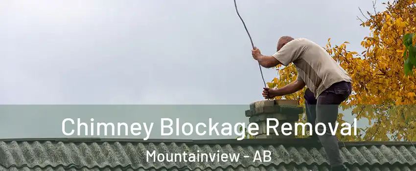 Chimney Blockage Removal Mountainview - AB