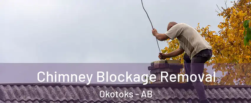  Chimney Blockage Removal Okotoks - AB