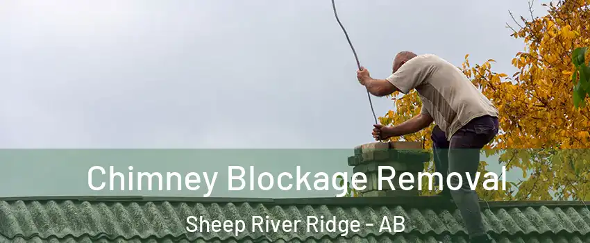  Chimney Blockage Removal Sheep River Ridge - AB