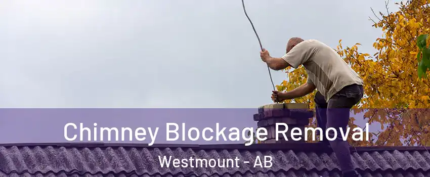  Chimney Blockage Removal Westmount - AB