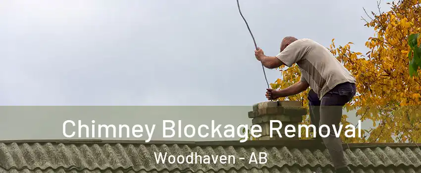  Chimney Blockage Removal Woodhaven - AB