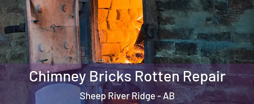  Chimney Bricks Rotten Repair Sheep River Ridge - AB