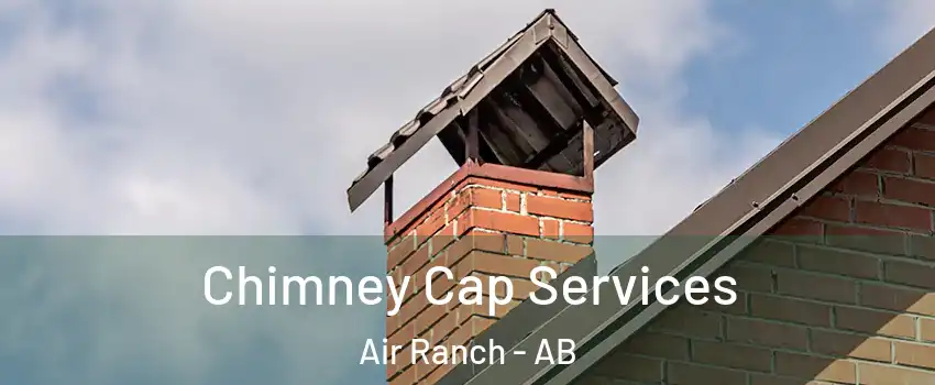  Chimney Cap Services Air Ranch - AB