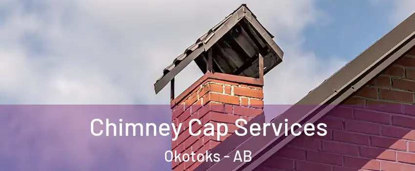 Chimney Cap Services Okotoks - AB