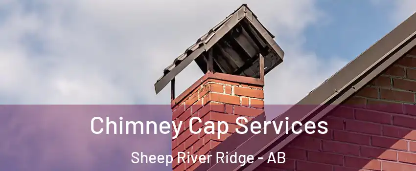  Chimney Cap Services Sheep River Ridge - AB