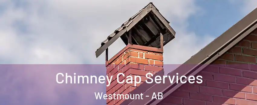 Chimney Cap Services Westmount - AB