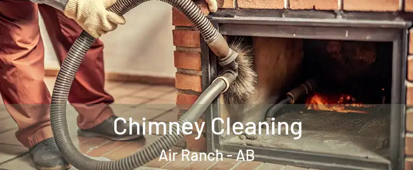  Chimney Cleaning Air Ranch - AB