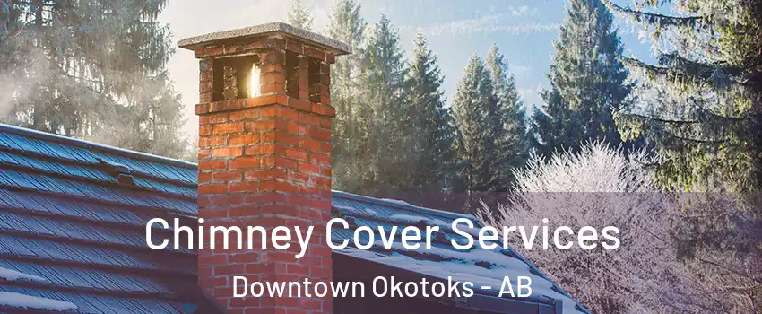  Chimney Cover Services Downtown Okotoks - AB