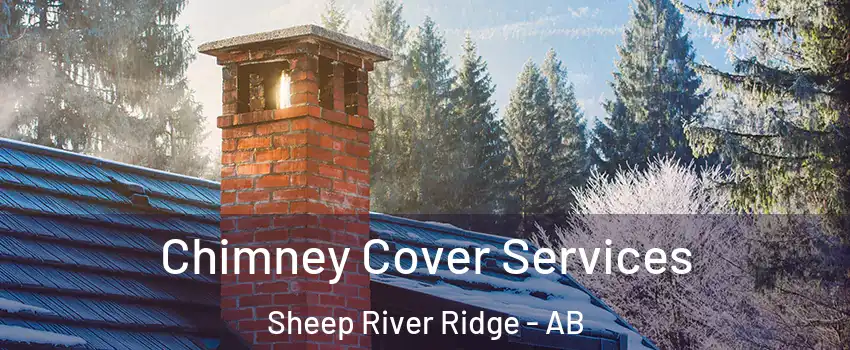  Chimney Cover Services Sheep River Ridge - AB