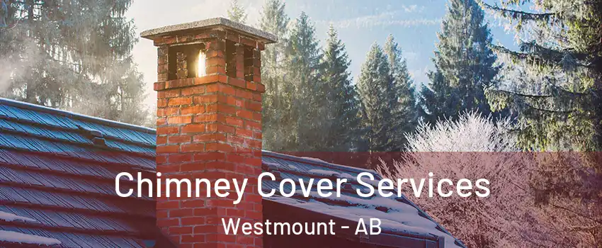 Chimney Cover Services Westmount - AB
