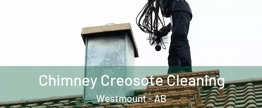  Chimney Creosote Cleaning Westmount - AB
