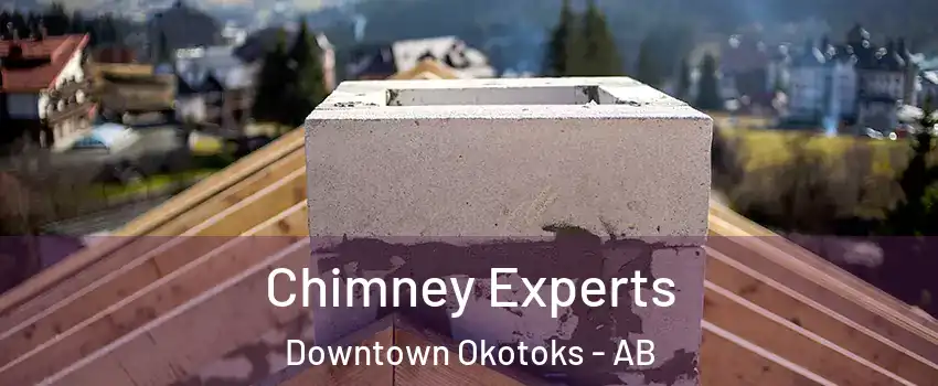  Chimney Experts Downtown Okotoks - AB