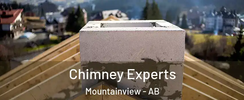 Chimney Experts Mountainview - AB