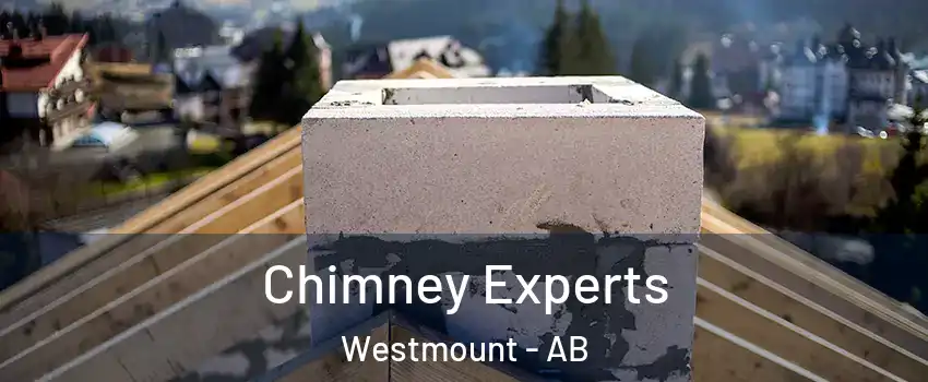  Chimney Experts Westmount - AB