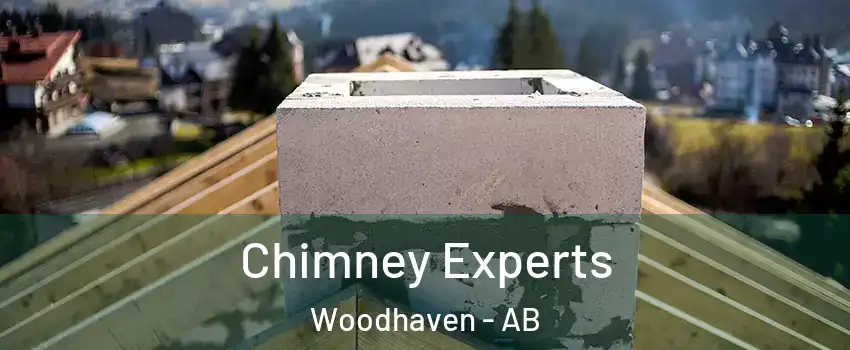 Chimney Experts Woodhaven - AB