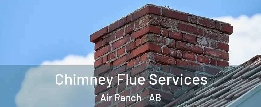  Chimney Flue Services Air Ranch - AB