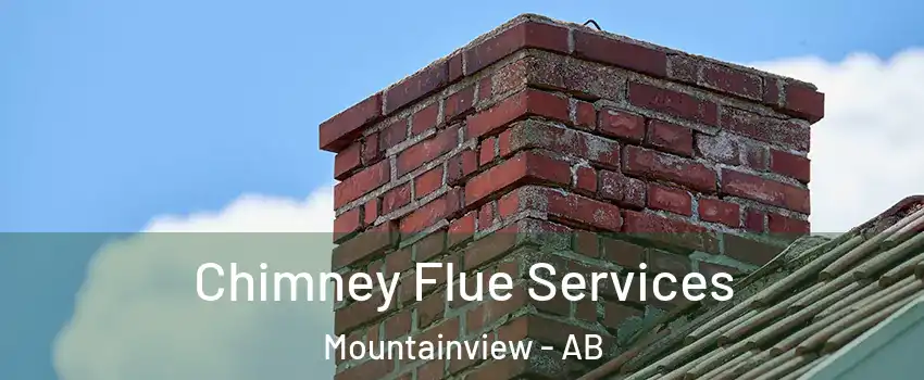  Chimney Flue Services Mountainview - AB