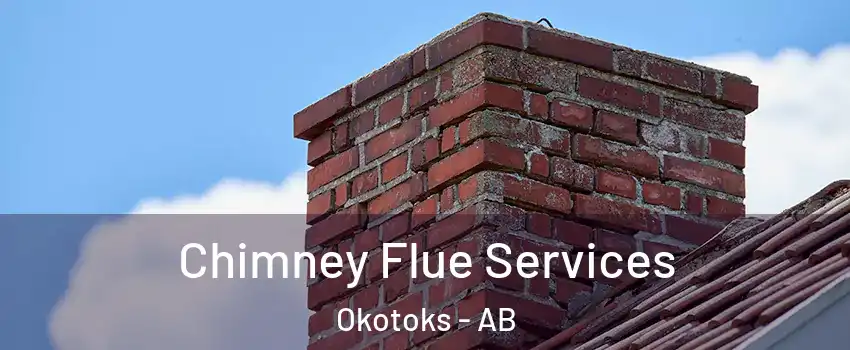  Chimney Flue Services Okotoks - AB