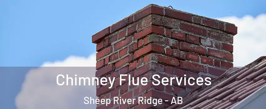  Chimney Flue Services Sheep River Ridge - AB