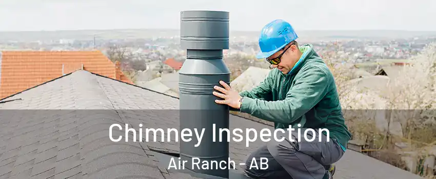  Chimney Inspection Air Ranch - AB