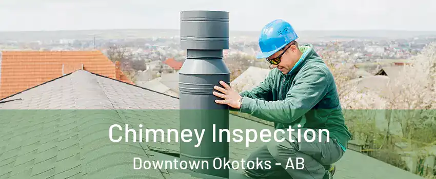  Chimney Inspection Downtown Okotoks - AB