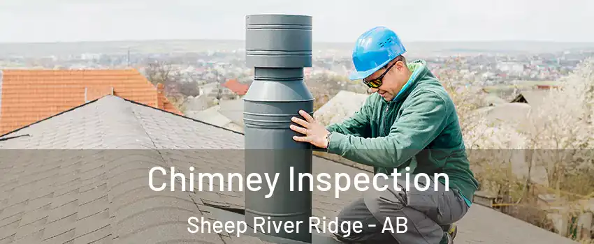  Chimney Inspection Sheep River Ridge - AB