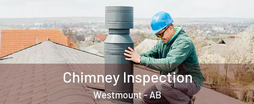  Chimney Inspection Westmount - AB