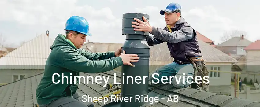  Chimney Liner Services Sheep River Ridge - AB