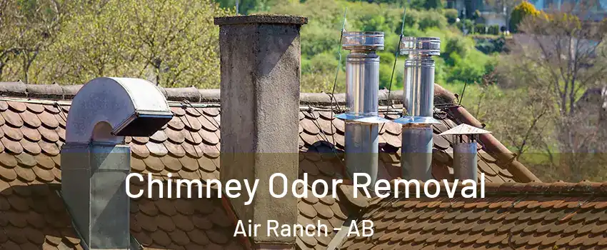  Chimney Odor Removal Air Ranch - AB