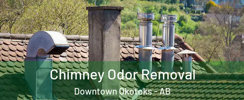  Chimney Odor Removal Downtown Okotoks - AB