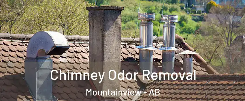  Chimney Odor Removal Mountainview - AB