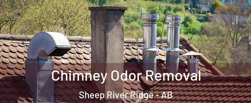  Chimney Odor Removal Sheep River Ridge - AB