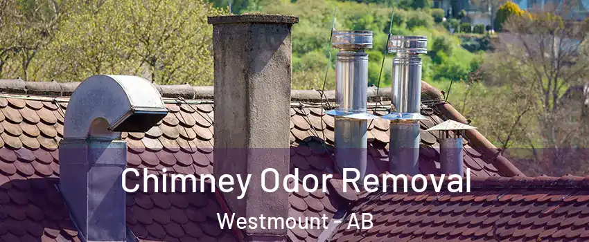  Chimney Odor Removal Westmount - AB
