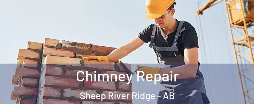  Chimney Repair Sheep River Ridge - AB