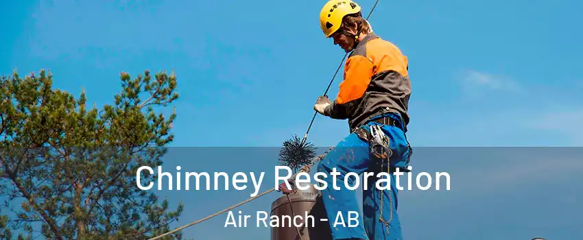  Chimney Restoration Air Ranch - AB