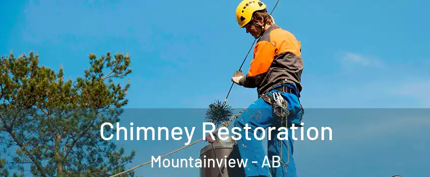  Chimney Restoration Mountainview - AB